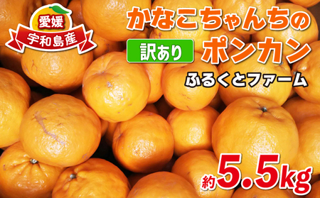 訳あり ポンカン みかん 約5.5kg ふるくとファーム 柑橘柑橘柑橘柑橘柑橘 B010-037006