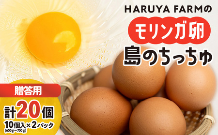 【 贈答 用 】 HARUYA FARM の モリンガ卵 「 島のちっちゅ 」 W065-001-01 鶏 卵