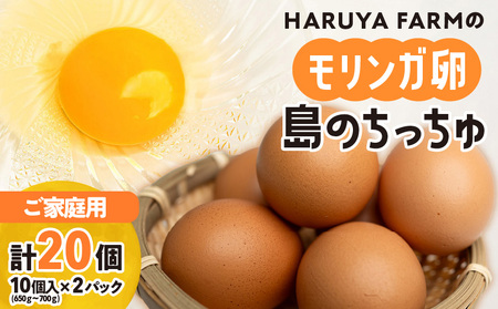 【 ご家庭用 】 HARUYA FARM の モリンガ卵 「 島のちっちゅ 」 W065-001-02 鶏 卵