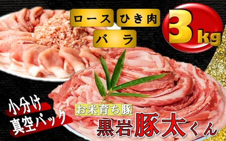 豚肉 黒岩豚太くんＩ 約3kg ロース バラ 肉 ロース バラ ひき肉 あらびき肉 岩手県 北上市 F0155 小分け 真空パック お歳暮 お中元 ギフト 四元豚 希少豚 お米育ち豚 ありすポーク 国産 日本産 