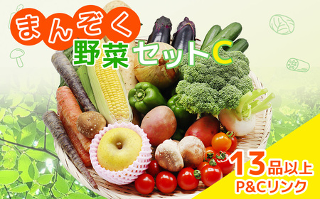まんぞく野菜セットC 13品 以上 季節 旬 野菜 詰め合わせ 春野菜 夏野菜 秋野菜 きのこ 葉物 果物 果菜 根菜 冷蔵 野菜室 ダイエット 食 栄養食 カット野菜 岩手県産 北上産 季節限定 稀少 数量限定 山菜 ブロッコリー たまねぎ さつまいも とうもろこし サラダ トマト しいたけ アスパラガス 岩手県 北上市 E0228 P＆Cリンク 
