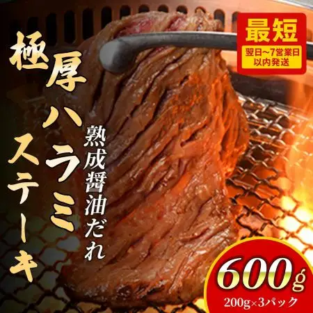 プレミアム極厚ハラミステーキ【熟成醤油だれ】600g ハラミ (K2-026)  D0502