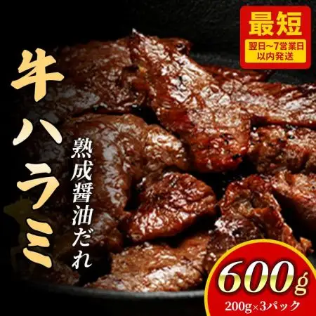 ハラミ 旨みたっぷり牛ハラミ 600g D0500