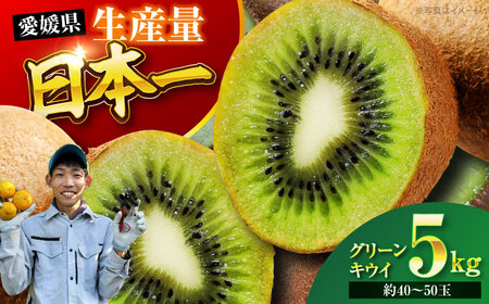 キウイフルーツ 5kg キウイフルーツ[AGBC007]