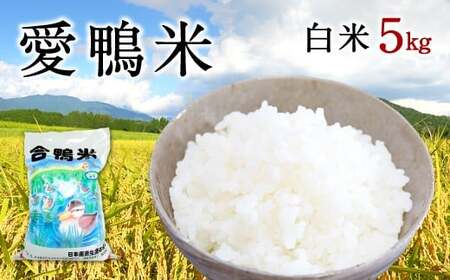 〈令和7年産〉愛鴨米 白米 5kg【2025年10月上旬～2026年10月上旬発送予定】