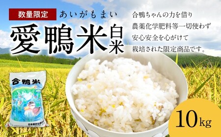 〈令和7年産〉愛鴨米 白米 10kg【2025年10月上旬～2026年10月上旬発送予定】