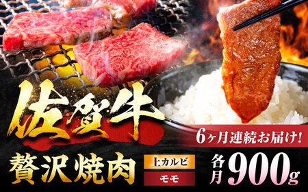 【6回定期便】 佐賀牛 焼肉満喫セット モモ 上カルビ 総計5.4kg 吉野ヶ里町/NICK’S MEAT[FCY036]