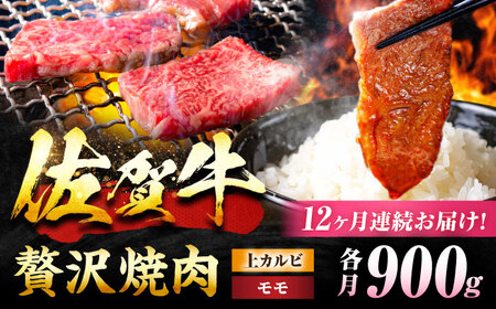 【12回定期便】 佐賀牛 焼肉満喫セット モモ 上カルビ 総計10.8kg 吉野ヶ里町/NICK’S MEAT[FCY037]