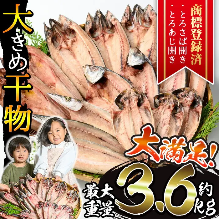 干物 大きめ 約2kg 詰め合わせ 干物【みのだ食品】No.406-A