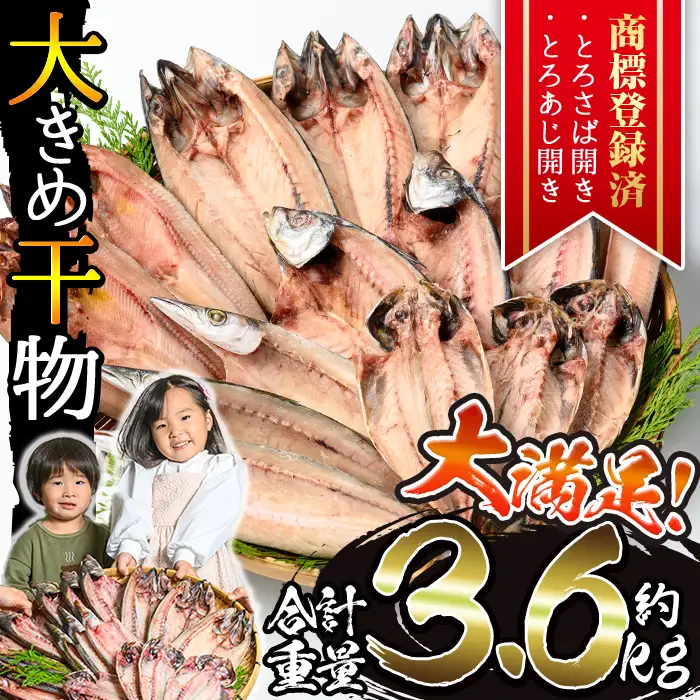 干物 詰め合わせ 約3.6kg あじ さば 旬 大きめ 干物 【みのだ食品】 No.406-B