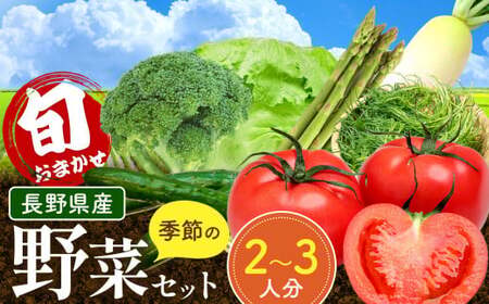 おまかせ野菜セット 2?3人分 約 5kg | 野菜 やさい 旬 の 野菜 長野県 塩尻市