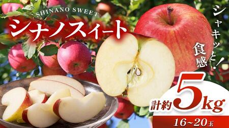 【2026年先行予約】信州産 塩尻エールりんご！ 農家さん応援♪♪ 約5kg シナノスイート 約5kg（16～20玉）【10月上旬以降発送予定】訳あり