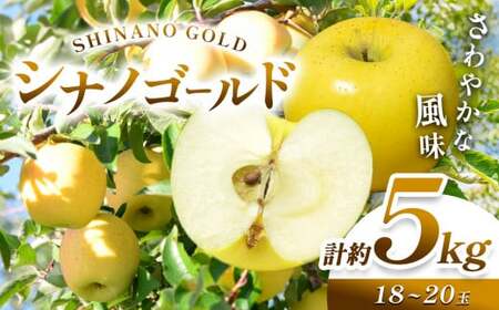 【2026年先行予約】 信州産 塩尻エールりんご！農家さん応援♪♪ さわやかな風味 シナノゴールド 約5kg（18～20玉） 【10月末～11月下旬頃にかけて順次発送予定】訳あり