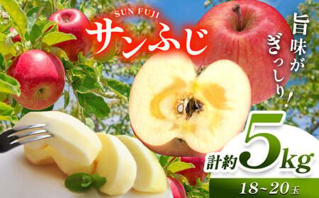【2026年先行予約】信州産 塩尻エールりんご！農家さん応援♪♪ 国内生産1位 サンふじ 約5kg （18～20玉）【11月中旬以降発送予定】訳あり