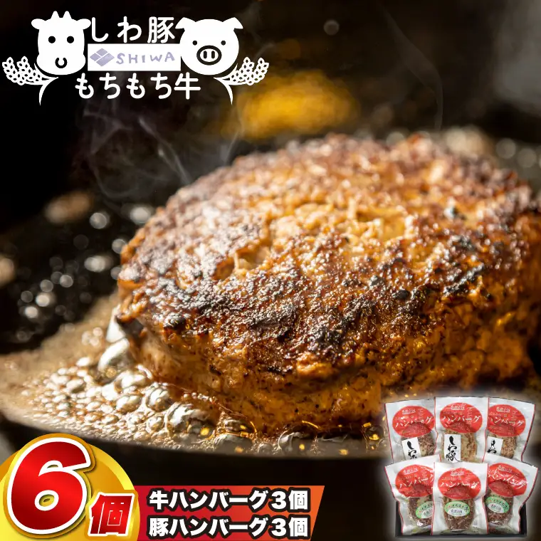 しわもちもち牛入り ハンバーグ 3個 しわ豚 ハンバーグ 3個 (合計6個) (AM013) 