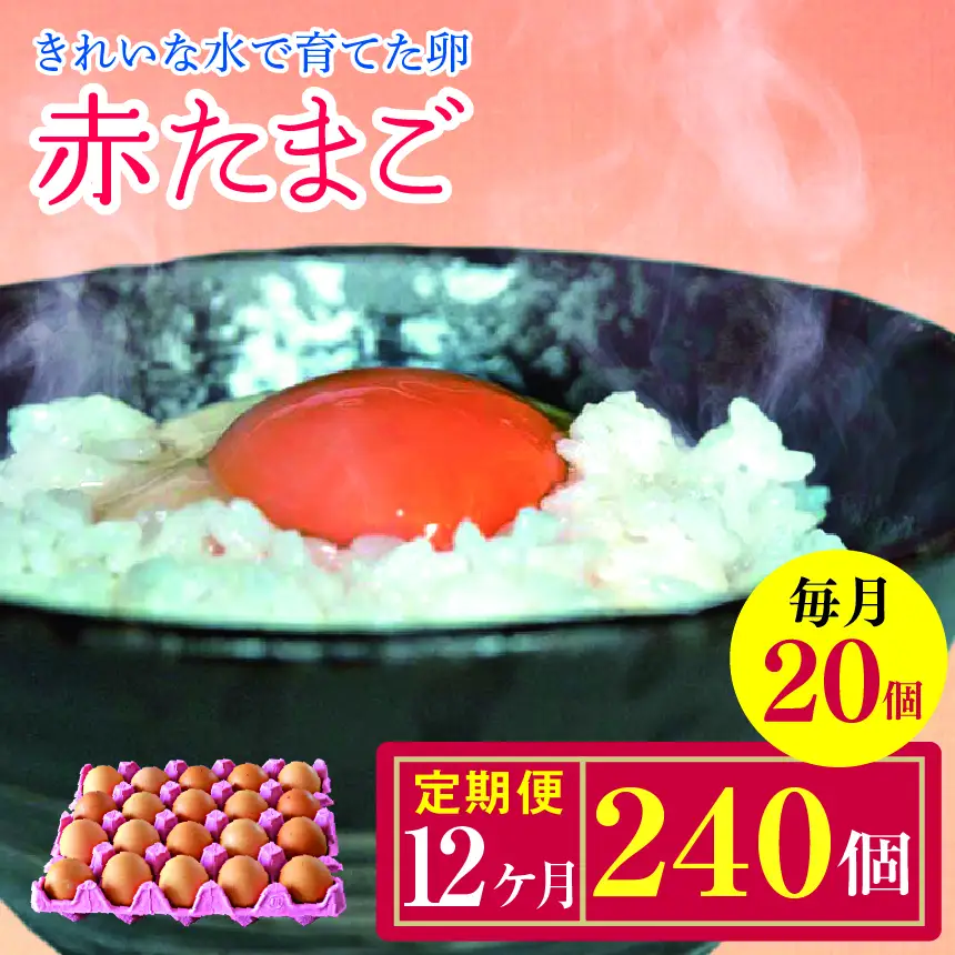 【12回定期便】きれいな水で育てた卵 赤たまご 20個 | 保坂農場