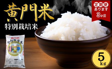  3カ月定期便 黄門米 特別栽培米 コシヒカリ 白米 5kg