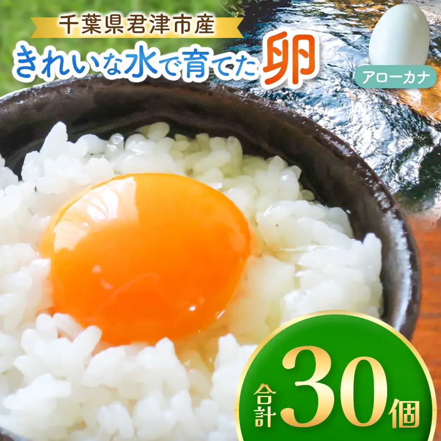 2週間以内に発送 きれいな水で育てた卵 アローカナ 30個 |  保坂農場 