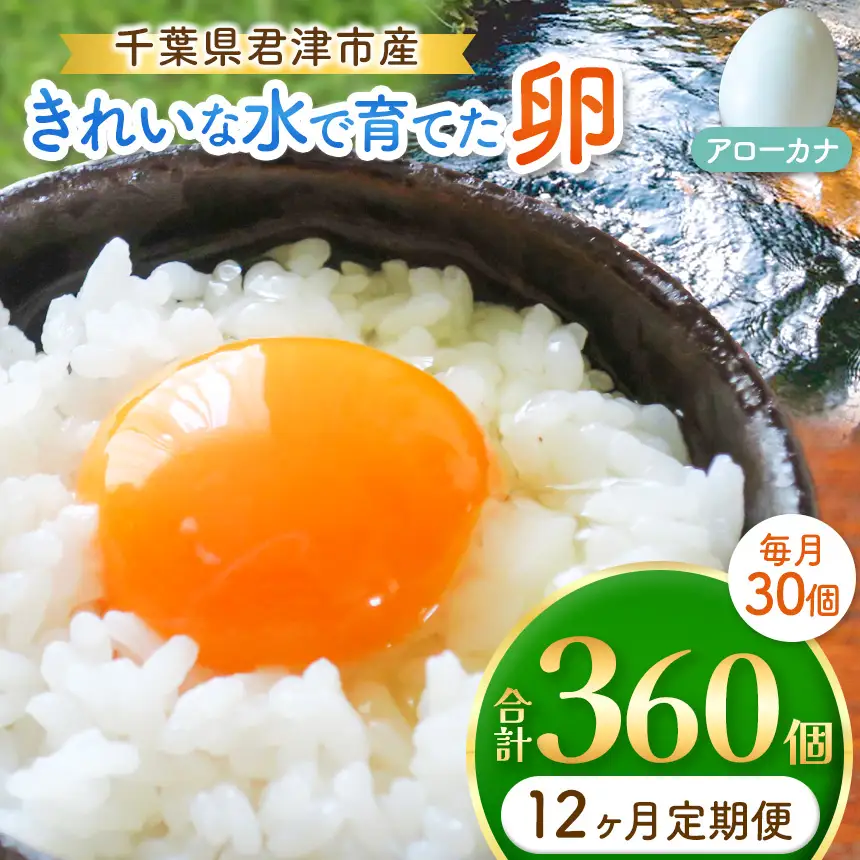 【12回定期便】2週間以内に発送 きれいな水で育てた卵 アローカナ 30個 | 早く届く すぐ すぐ発送 保坂農場  あろーかな 卵 たまご 君津市産 千葉 君津 きみつ 房総