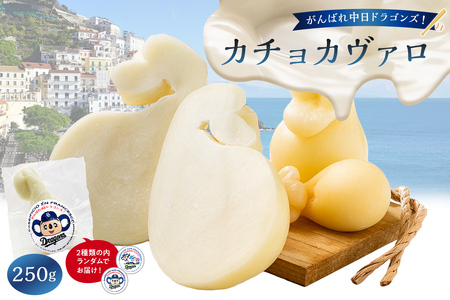 がんばれ中日ドラゴンズ！カチョカヴァロ1個【中日ドラゴンズコラボ】 ﾁｰｽﾞ ﾐﾙｸ 乳製品 ｾﾐﾊｰﾄﾞﾀｲﾌﾟ ﾄﾞﾗｺﾞﾝｽﾞ ｺﾗﾎﾞ 【0073-088】