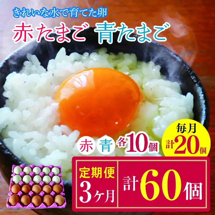 【3回定期便】きれいな水で育てた卵 赤たまご （ アローカナ ）ミックス 各10個 計20個  | 保坂農場