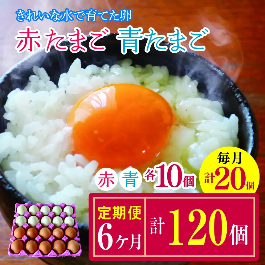 【6回定期便】きれいな水で育てた卵 赤たまご 青たまご（ アローカナ ）ミックス 各10個 計20個  | 保坂農場