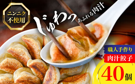 肉汁餃子 40個 / 餃子 ぎょうざ 冷凍 ギョーザ ニンニク 不使用 / 稲沢市 / 餃子の元博千年 [BMBQ001]