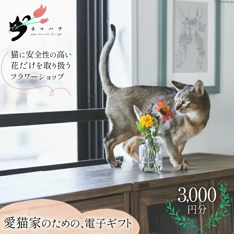 花束 ネコハナ 電子ギフトコード 3,000円分 [ネコハナ 埼玉県 小川町 260]