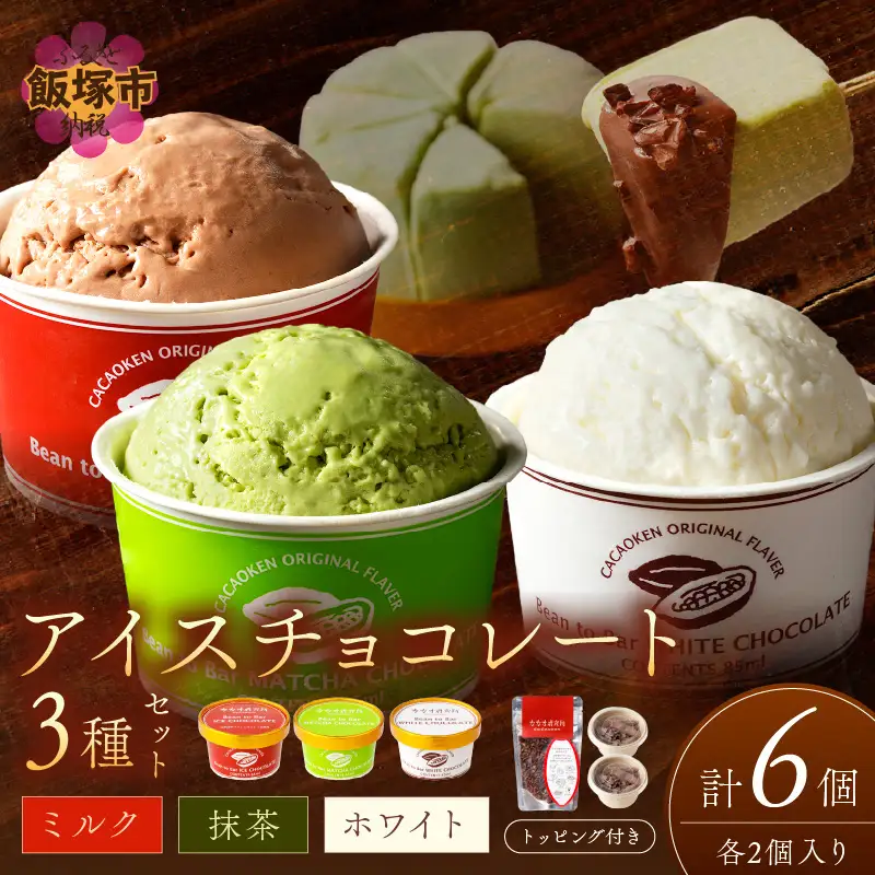 カカオ研究所 アイスチョコレートセット(6個入り)【B5-049】