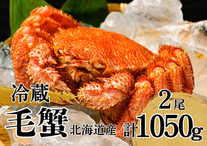  活ゆで毛蟹 2尾で1050～1100g【冷蔵】国産 北海道産 毛ガニ かに 毛蟹 旬 けがに 蟹 毛かに 毛がに