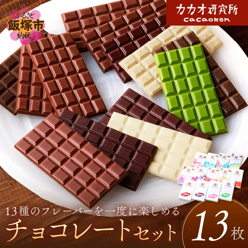 カカオ研究所のチョコレートセット(13枚)【E-089】