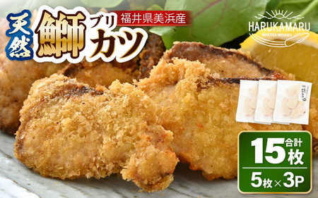 天然！美浜町産「日向ぶり」 ぶりカツ 約450g（約150g × 3袋）【ブランド ぶり ブリ 鰤 海鮮 海産物 魚介類 ブリカツ カツレツ 人気 惣菜 おかず おつまみ 国産 福井 冷凍 揚げ物 フライ 簡単調理】 [m36-a037]