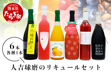 人吉球磨の リキュール 6本セット ≪ デコポン 晩白柚 珈琲 ブルーベリー 紫蘇 トマト ≫ フルーツ リキュール コーヒー 人吉 球磨 米 焼酎 贈り物 ギフト 熊本県 多良木町 015-0690