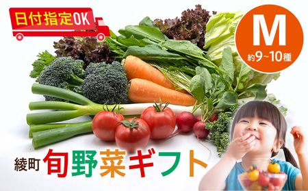綾町旬野菜ギフト（Mサイズ / 約9-10種）2～3人分  / 野菜 朝どれ 無農薬 減農薬 栽培期間中 有機栽培 産地直送 新鮮 旬 詰め合わせ サラダ 果物 きのこ類 やさい 送料無料 【オーガニックのまち 宮崎県綾町】_A0004-104