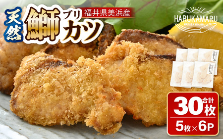天然！美浜町産「日向ぶり」 ぶりカツ 約900g（約150g × 6袋）【ブランド ぶり ブリ 鰤 海鮮 海産物 魚介類 ブリカツ カツレツ 人気 惣菜 おかず おつまみ 国産 福井 冷凍 揚げ物 フライ 簡単調理】 [m36-a038]