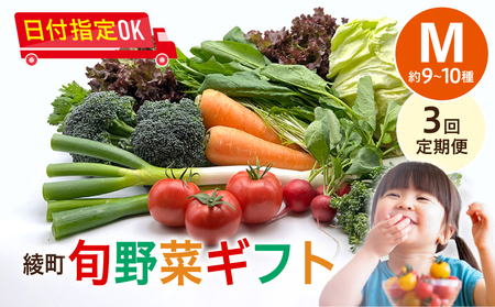 【３回定期便】綾町旬野菜ギフト（Mサイズ / 約9-10種）2～3人分/ 野菜 朝どれ 無農薬 減農薬 栽培期間中 有機栽培 産地直送 新鮮 旬 詰め合わせ サラダ 果物 きのこ類 やさい 送料無料 定期便 3カ月【オーガニックのまち 宮崎県綾町】_A0004-105