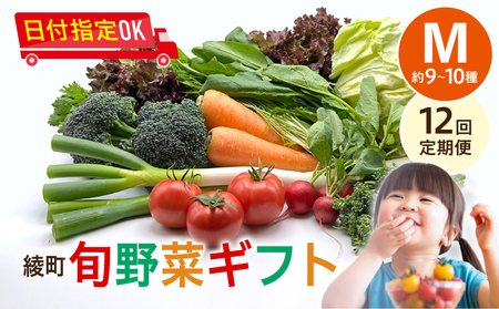 【12回定期便】綾町旬野菜ギフト（Mサイズ / 約9-10種）2～3人分 / 野菜 朝どれ 無農薬 減農薬 栽培期間中 有機栽培 産地直送 新鮮 旬 詰め合わせ サラダ 果物 きのこ類 やさい 送料無料 定期便 12カ月【オーガニックのまち 宮崎県綾町】_A0004-107