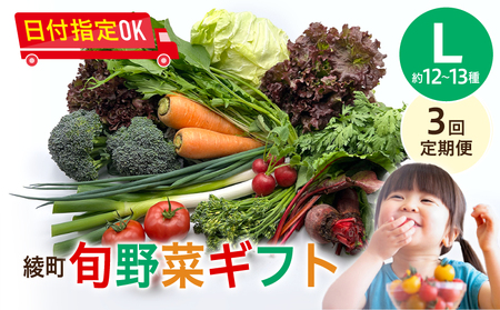【３回定期便】綾町旬野菜ギフト（Lサイズ / 約12-13種）4人以上分 / 野菜 朝どれ 無農薬 減農薬 栽培期間中 有機栽培 産地直送 新鮮 旬 詰め合わせ サラダ 果物 きのこ類 やさい 送料無料 定期便 3カ月【オーガニックのまち 宮崎県綾町】_A0004-109