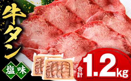 牛タン 塩味 牛タン[1.2kg 600g×2P]