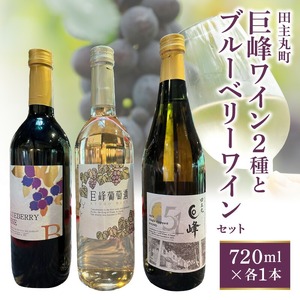 田主丸町巨峰ワイン二種とブルーベリーワインのセット_田主丸町 巨峰 ワイン 二種 ブルーベリーワイン 各 720ml × 1本 計 3本 セット 巨峰葡萄酒ドライ 辛口 すっきり ブルーベリー 甘口 濃厚 シングルヴィンヤード 巨峰白 中口 フルーティー 飲み比べ お取り寄せ 〔Ew013〕