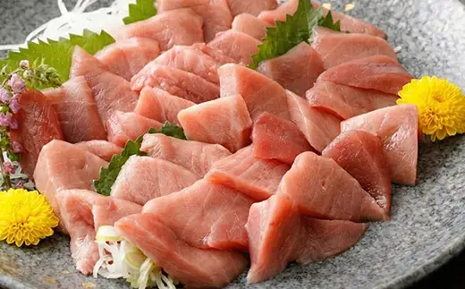 tk202 天然本鮪中トロ！600g本マグロ・天然マグロ切り落とし