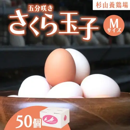 純国産鶏さくらちゃんが産んだ桜色のさくら玉子 五分咲き（Mサイズ）50個 | 卵 たまご 濃厚 10000円 1万円以内