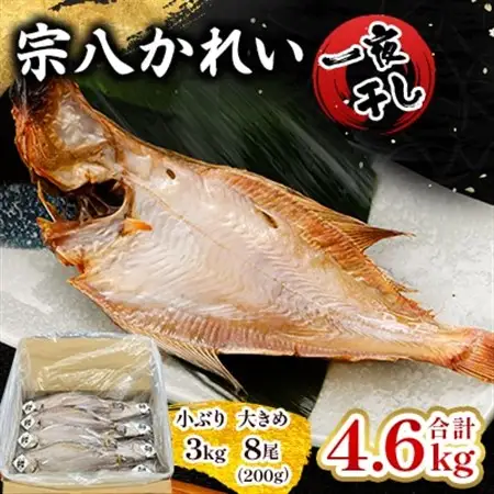 一夜干し宗八かれい4.6kgセット_干物 かれい カレイ 一夜干し 魚 さかな ひもの おかず 焼魚 焼き魚 唐揚げ 南蛮漬け 朝食 朝ごはん ご飯のお供 おつまみ 魚介類 海産物 国産 岩手県 ギフト プレゼント 冷凍 送料無料_【配送不可地域：離島】【1521613】
