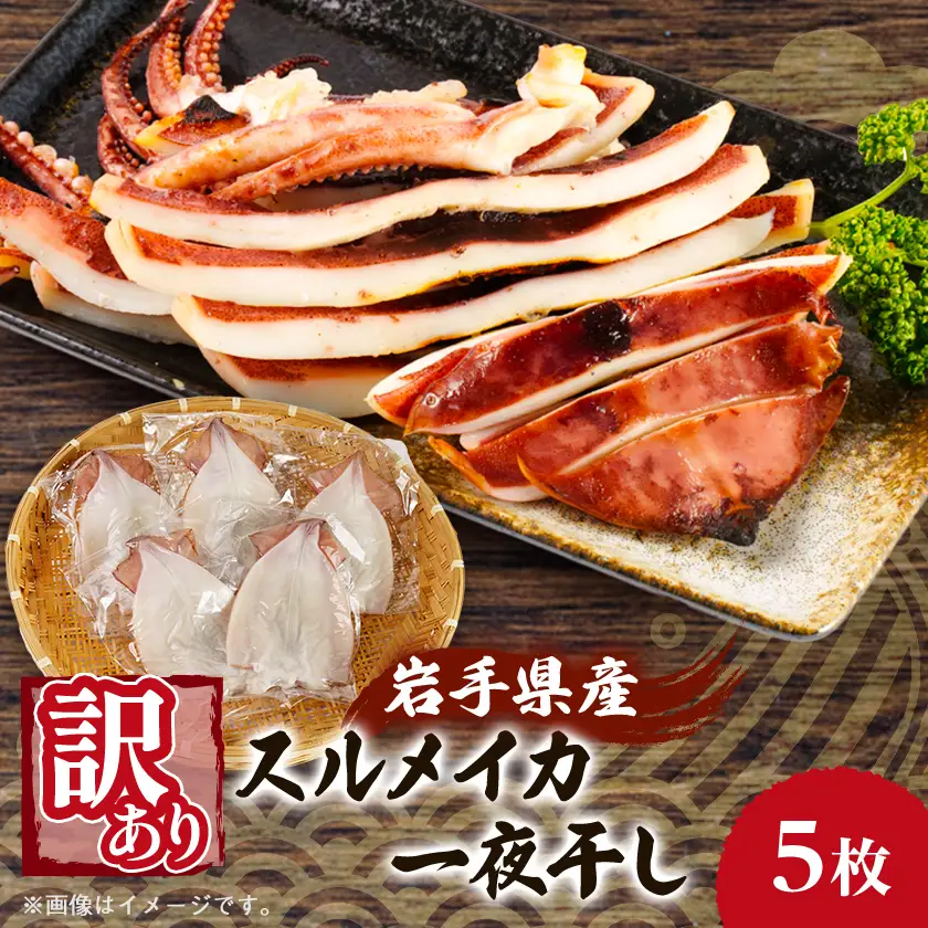 【訳あり】岩手県宮古市産スルメイカの一夜干し　5枚セット_魚介・海産物 イカ  いか 烏賊_【配送不可地域：離島】【1527275】