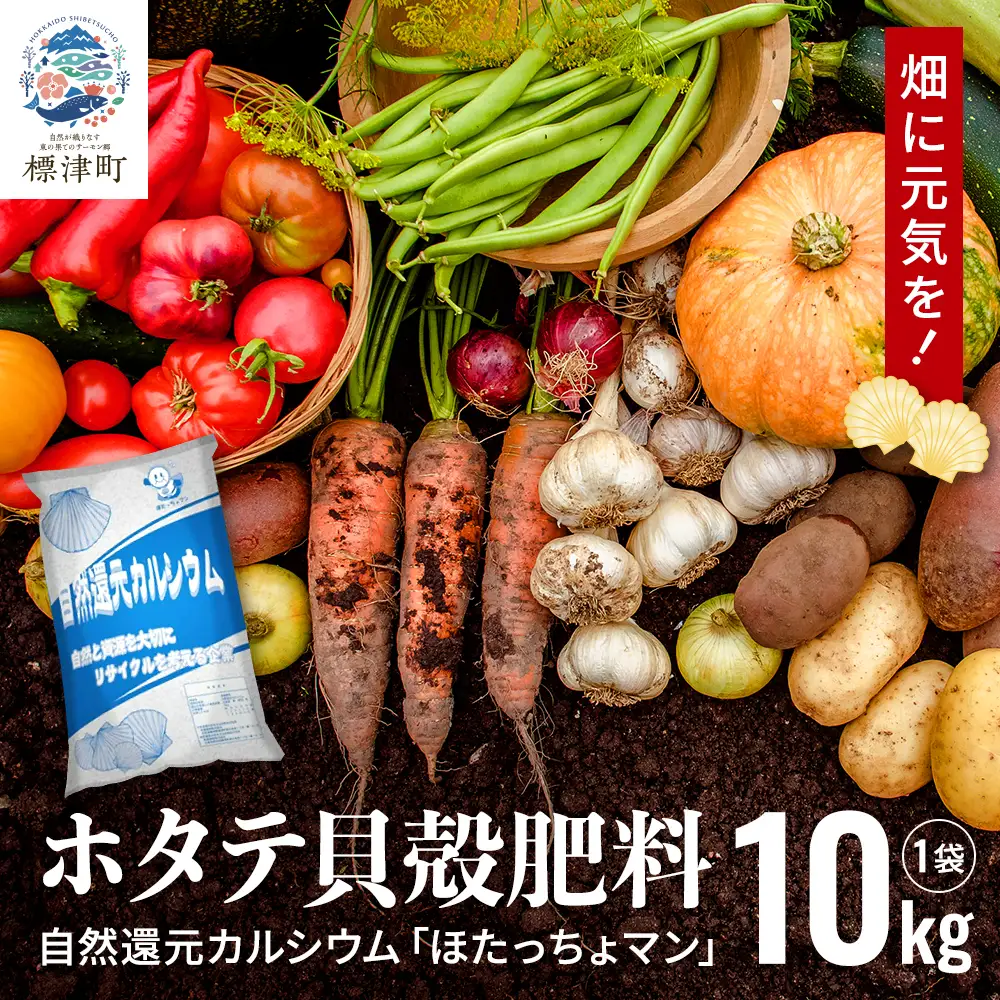 ホタテ貝殻肥料【自然還元カルシウム。ほたっちょマン】10kg　天然素材 アルカリ リサイクル【AS001】