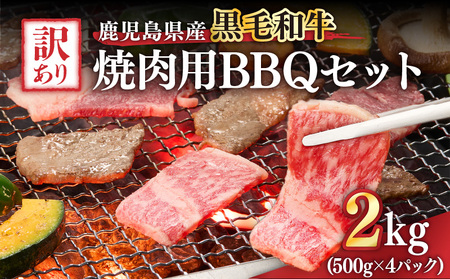 2619 訳あり黒毛和牛 鹿児島県産焼肉用BBQセット 計2,000g（500g×4パック） KN041-003-03 肉 牛肉 冷凍