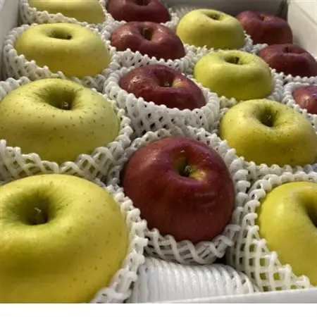 サンふじ＆名月 ギフトセット 化粧箱入 約3kg(8～12個)_果物・フルーツ りんご  リンゴ 林檎_【1513791】