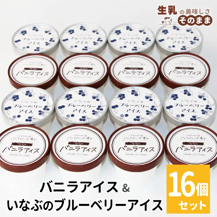2026年7月1日～寄付金額変更★〈スピード発送〉マダガスカル産バニラビーンズ香る！バニラアイスクリーム＆いなぶのブルーベリーアイス 16個セット 10000円 アイスクリーム ブルーベリー 