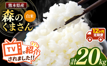 【定期便12回】令和7年産 熊本県産 森のくまさん 白米 20kg こめ 米