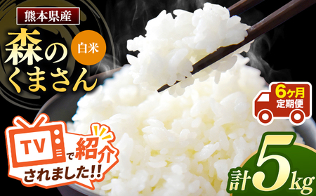【定期便6回】令和7年産 熊本県産 森のくまさん 白米 5kg こめ 米